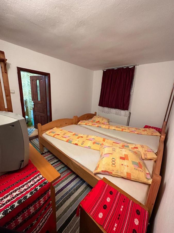 Casa Alex Villa Lepus Kültér fotó